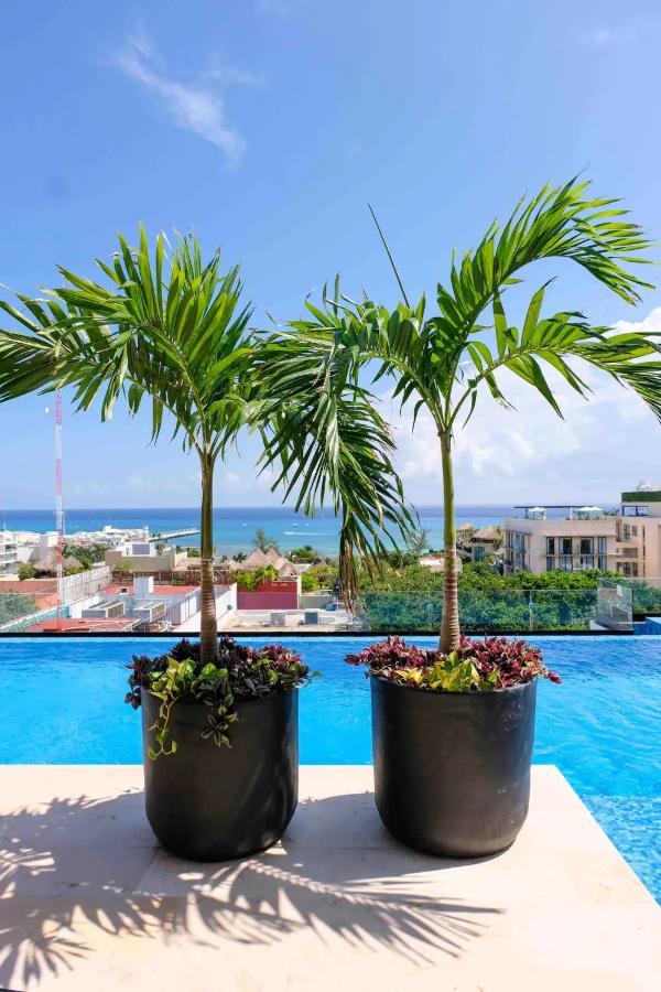 Stayon5A.Av.Penthouse With Privatepool Freeparking Playa del Carmen Bagian luar foto